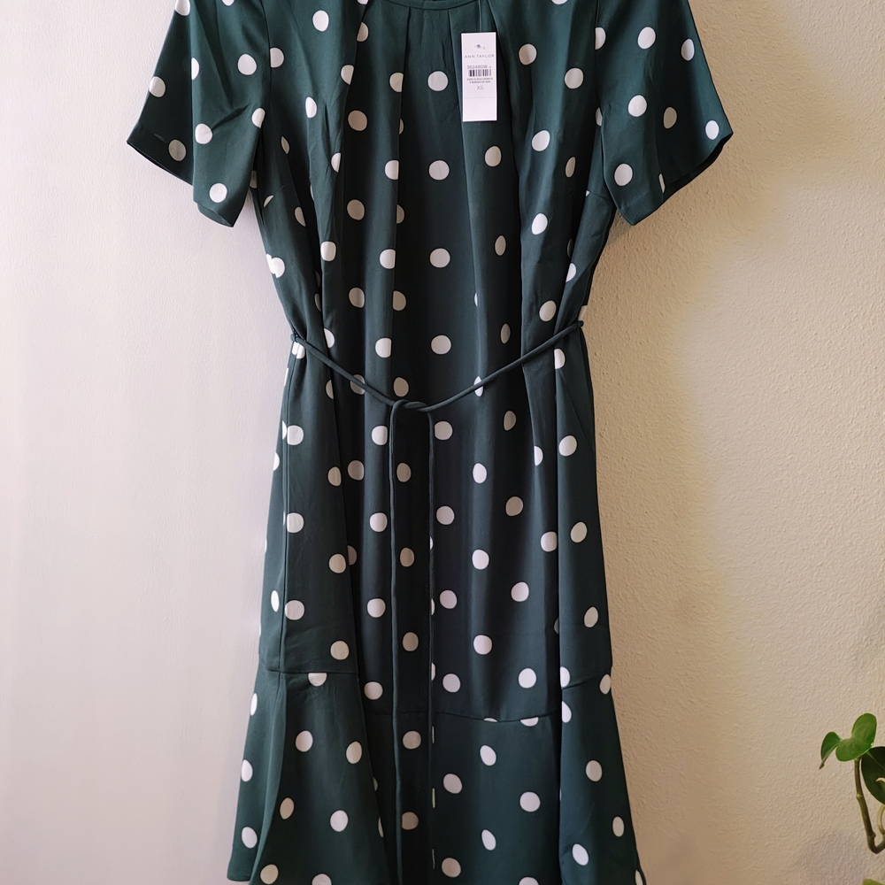 Ann Taylor Polka Dot Green Dress